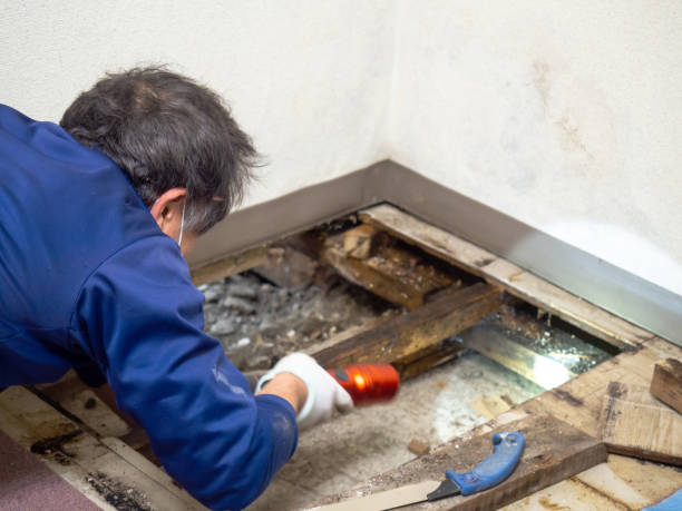 Best Water Damage Restoration  in New Britain, CT