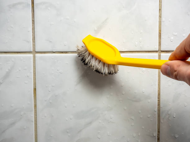 Best Affordable Mold Removal  in New Britain, CT
