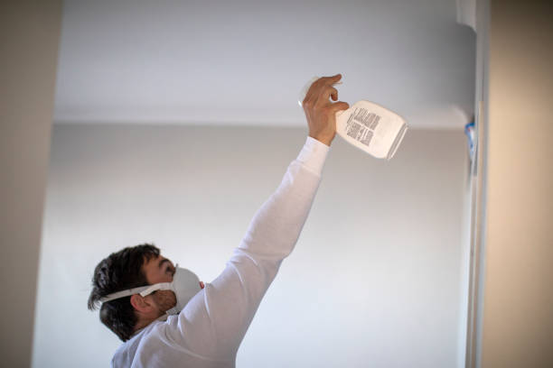 Best Mold Removal Process  in New Britain, CT
