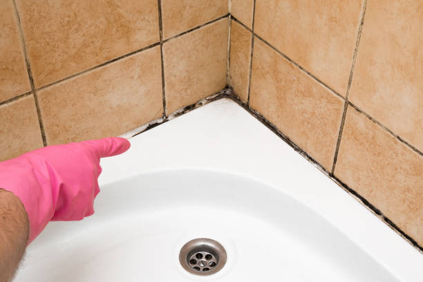Best Mold Testing  in New Britain, CT
